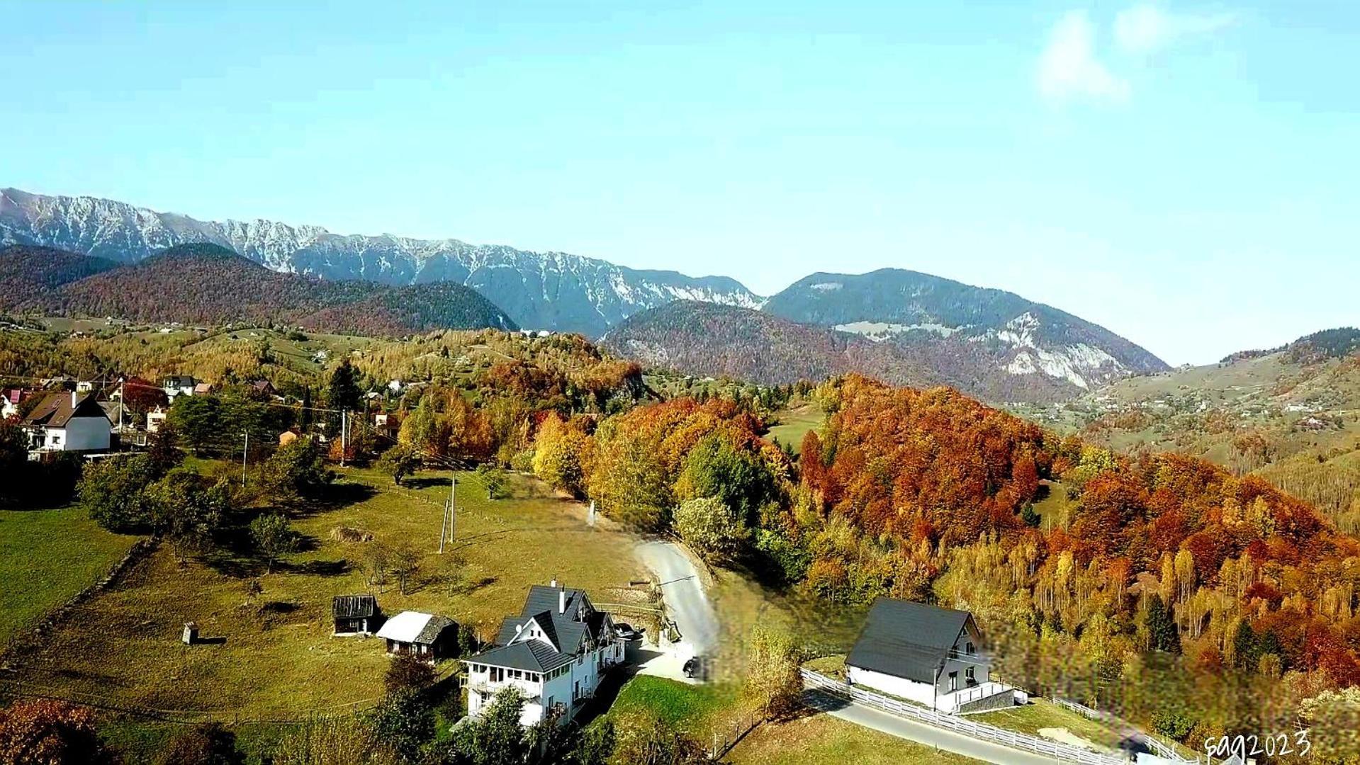 Carpathia Magic -Adults Only Vila Peştera Exterior foto
